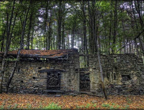 Abandoned_26