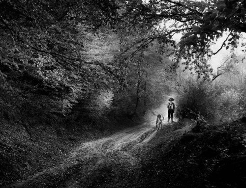 nel bosco