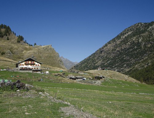 Montagna